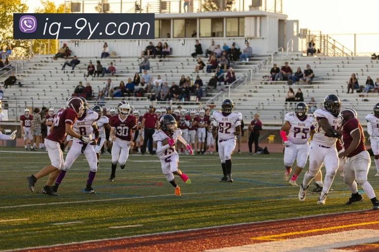 App Interface Preview