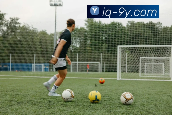 九游官网APP 封面图