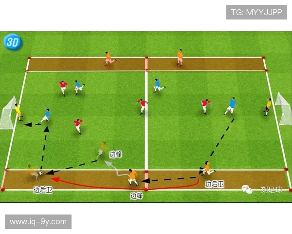 中国职业足球球员人数分析及未来发展趋势探讨